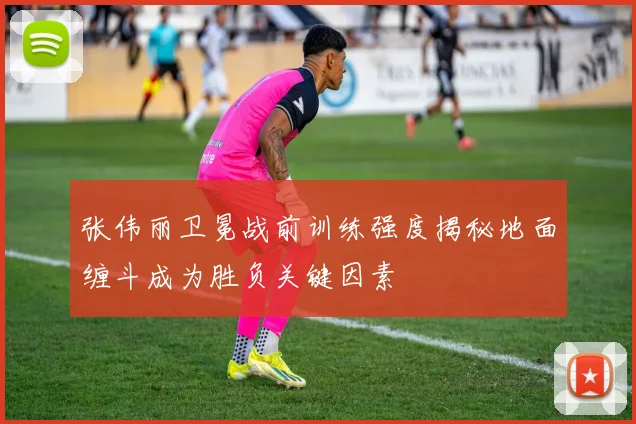 张伟丽卫冕战前训练强度揭秘地面缠斗成为胜负关键因素